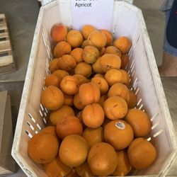 Friesen Family Farms