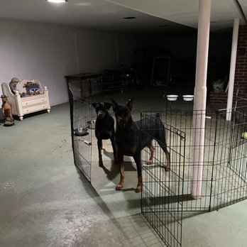 A Goode Pet Sitter - Reno and Queenie tucked in for the night - Pet Sitting Near Me