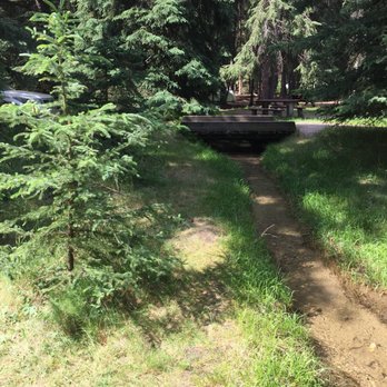 Whistler's Campground - View from second campsite looking towards first - Campgrounds Near Me - Jasper, Alberta