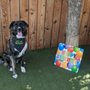 Photo of Escape the Crate - Boise