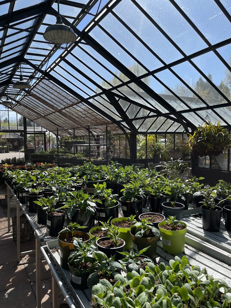 SOUTHLANDS NURSERY 45 Photos & 18 Reviews 6550 Balaclava St