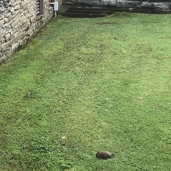 Trans-Allegheny Lunatic Asylum - Landmarks & Historical Buildings Near Me - Weston, West Virginia