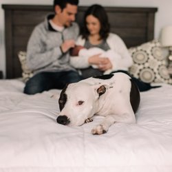 Emily Gunn Photography - In home newborn session