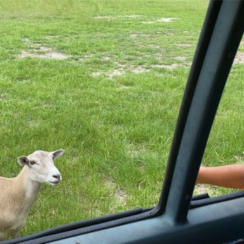 Mosley's World Famous 'Animal Exit' Farm - Petting Zoos Near Me Mosley's World Famous 'Animal Exit' Farm - Petting Zoos Near Me