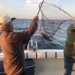 Finpower Charters - Landing a big trout!