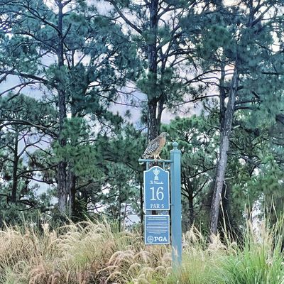PGA Golf Club at PGA Village by null