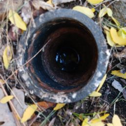 Sewer water seen near sewer opening that can flow back into RV Sewer water seen near sewer opening that can flow back into RV