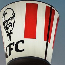 Alexander's Pet Grooming - KFC