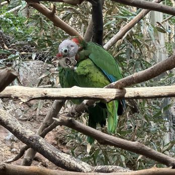 Lincoln Park Zoo - Zoos Near Me - Chicago, Illinois Lincoln Park Zoo - Zoos Near Me - Chicago, Illinois
