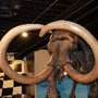 Photo of Owensboro Museum of Science & History