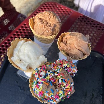 Purity Ice Cream - Vegan ice cream - Ice Cream & Frozen Yogurt Near Me - Ithaca, New York Purity Ice Cream - Vegan ice cream - Ice Cream & Frozen Yogurt Near Me - Ithaca, New York