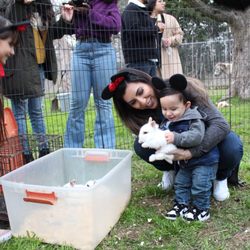 El Rancho Pony Rides and Petting Zoo