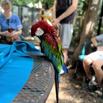 Nancy Forrester's Secret Garden - Animal Shelters Near Me - Key West, Florida