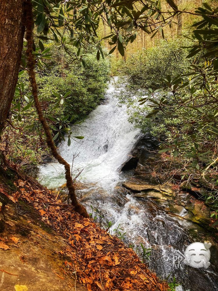 Sea Creek Falls Logo