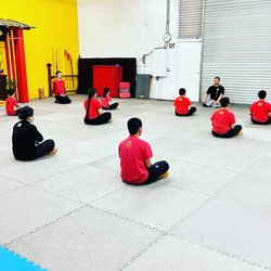 Shaolin Kung Fu Walnut