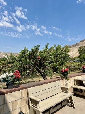 Varaison Vineyards & Winery by null