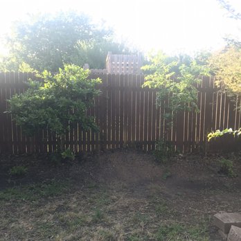 Trees R Us - After! Tree gone and stump removed! - Tree Services Near Me
