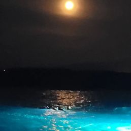 Full Moon snorkle sesh...