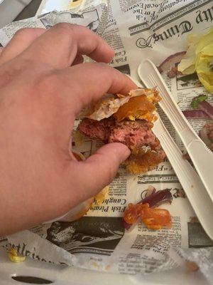 Calamari's Squid Row by null