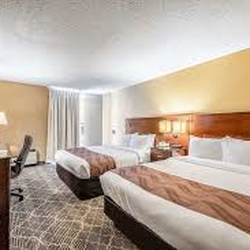 Quality Inn & Suites - Room with two queen beds