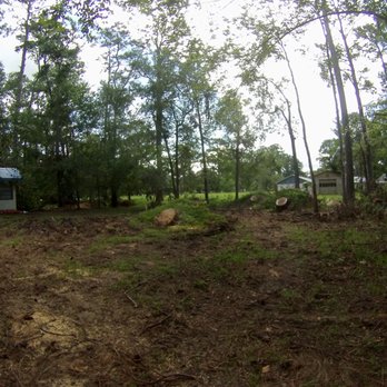 Olives Tree Service - For a job that costs more than $21k, don't you'd think the stumps would be removed? - Tree Services Near Me Olives Tree Service - For a job that costs more than $21k, don't you'd think the stumps would be removed? - Tree Services Near Me