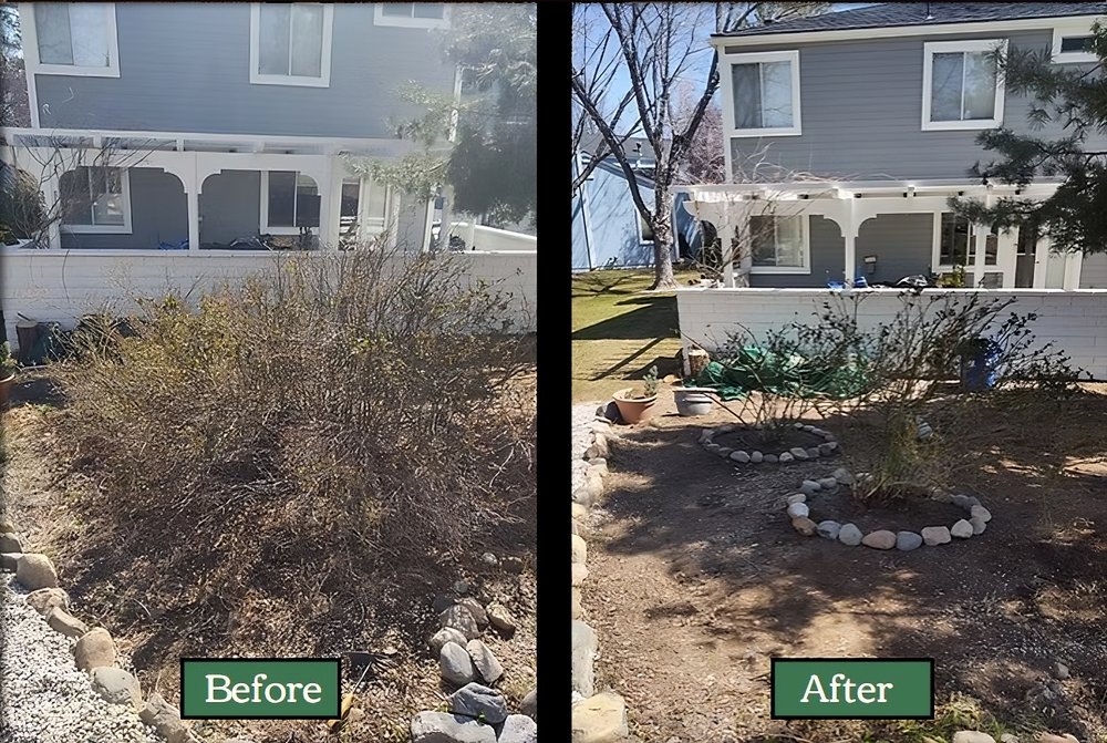 Edible Eden Lawn & Garden - tree service in Verdi, NV