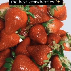 TorresVille Farm - Strawberries from Torresville_farm