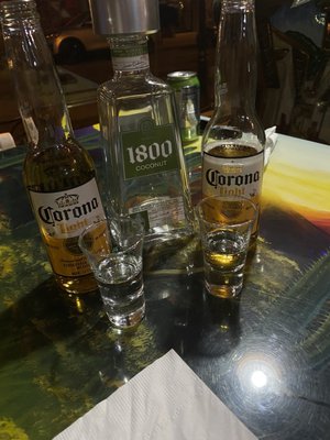 Cactus Charly by null