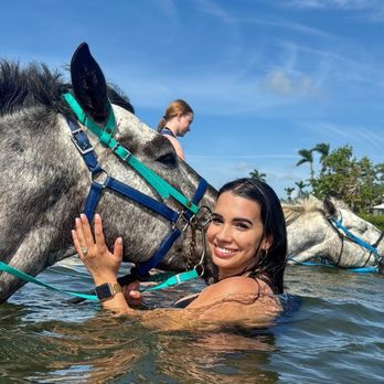 Florida Beach Horses - Wahoo cuddling me in the water - Beaches Near Me - Bradenton, Florida