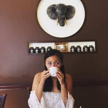Chado Tea Room - The look you give when there's an elephant in the room (get it?!) - Tea Rooms Near Me - Hollywood, California Chado Tea Room - The look you give when there's an elephant in the room (get it?!) - Tea Rooms Near Me - Hollywood, California