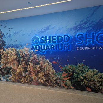 Shedd Aquarium - Aquariums Near Me - Chicago, Illinois Shedd Aquarium - Aquariums Near Me - Chicago, Illinois