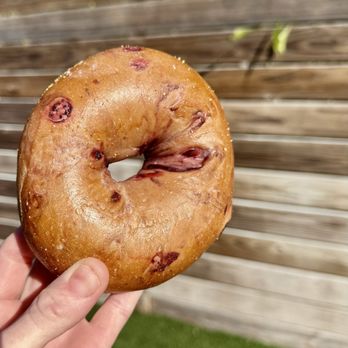 Bagels - Blueberry Bagel! - Coffee & Tea Near Me - Wilton Manors, Florida
