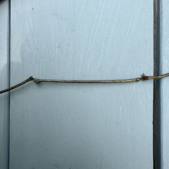 B & B Campers & Rvs - The emergency brake cable that is apparently totally fine and passed their "checking" - RV Dealers Near Me - Newport, New Hampshire B & B Campers & Rvs - The emergency brake cable that is apparently totally fine and passed their "checking" - RV Dealers Near Me - Newport, New Hampshire