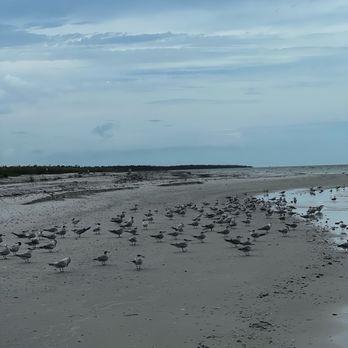 Treasure Seekers Shell Tours - Facing the South on Ten Thousand Island - Boat Charters Near Me - Goodland, Florida