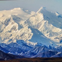 Wild Alaskan Rental Adventures