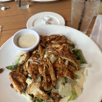 Portofino's - Caesar Salad - Italian Near Me - Charlotte, North Carolina Portofino's - Caesar Salad - Italian Near Me - Charlotte, North Carolina