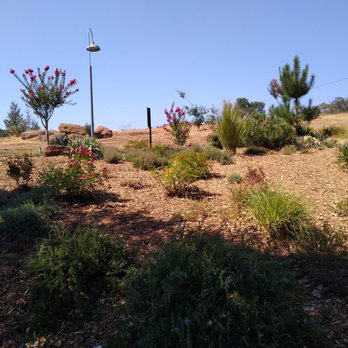 Imagery Estate Winery - More gardens - Wineries Near Me - Glen Ellen, California