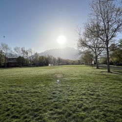 Waterford School - The Waterford School (Main Quad)