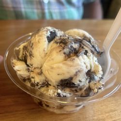 Days Ice Cream - Moosetracks ice cream (medium)