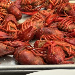 Crawfish Crawfish