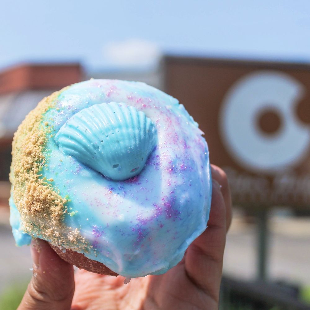 CIDER BELLY DOUGHNUTS 66 Photos & 16 Reviews 53 Fuller Rd, Albany