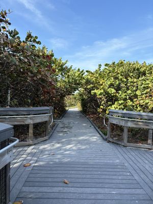 Dr. Von D. Mizell-Eula Johnson State Park by null