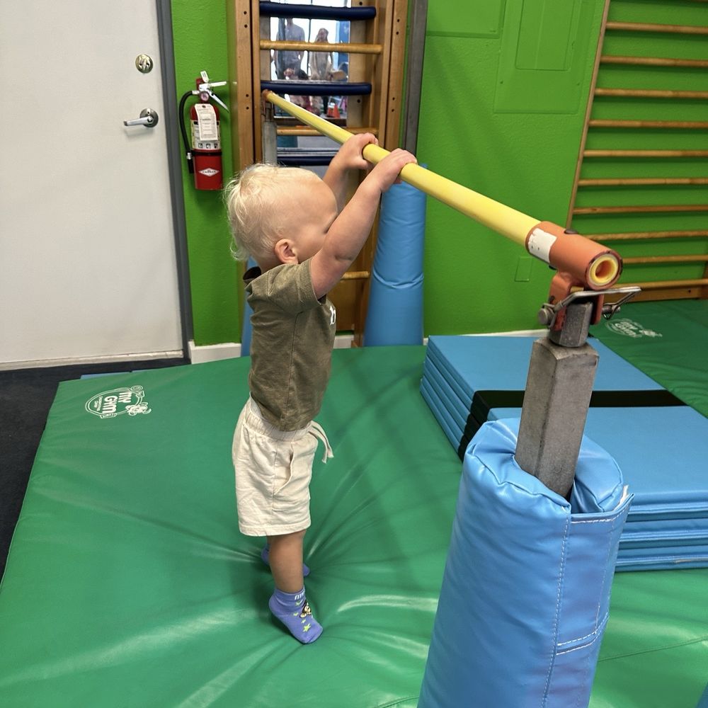 My Gym - Lots of places for them to explore and they change the whole gym setup weekly - Gyms Near Me - Lutz, Florida