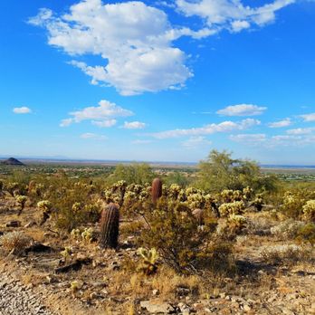 Ringtail Trailhead - Hiking Near Me - Scottsdale, Arizona