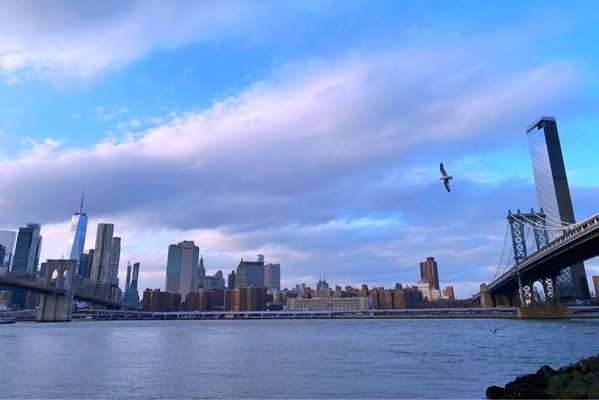 Pebble Beach by null