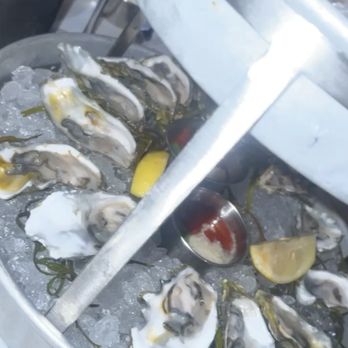 Ocean Prime - oysters on half shell - Seafood Near Me - Orlando, Florida Ocean Prime - oysters on half shell - Seafood Near Me - Orlando, Florida