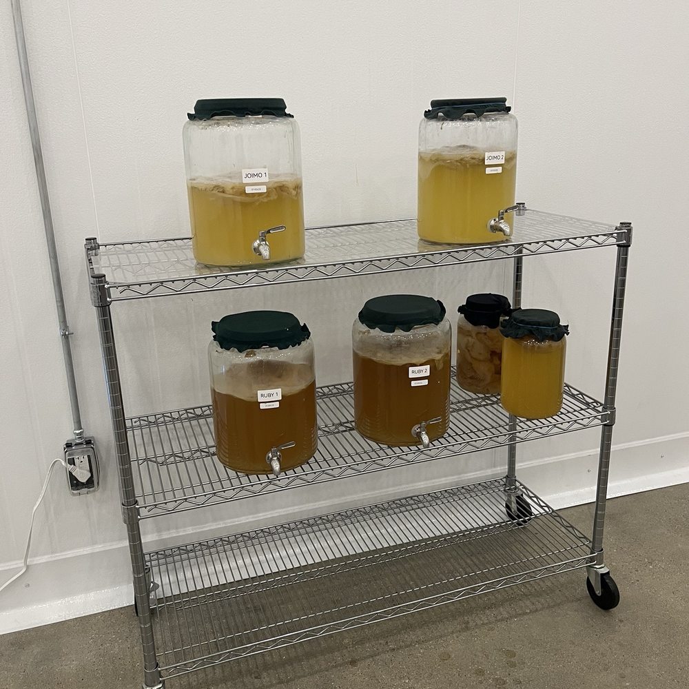 Joimo Tea - Kombucha Near Me - Los Angeles, California