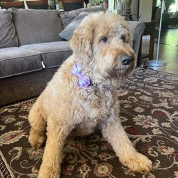Cute little bow with her fresh blow out. Cute little bow with her fresh blow out.