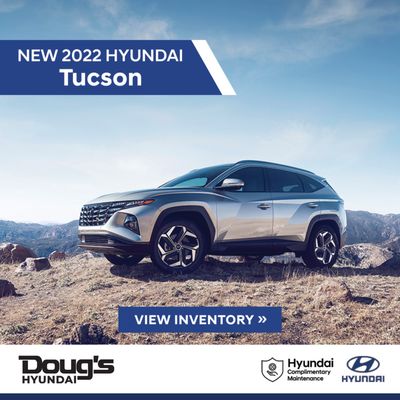 DOUG’S HYUNDAI - Updated August 2025 - 119 Photos & 360 Reviews - 22130 ...