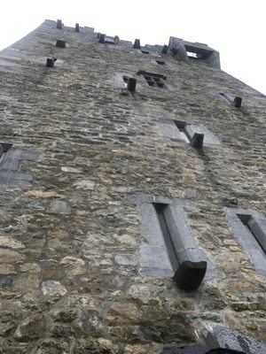 Ross Castle by null